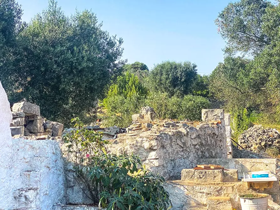 Immagine 18 di Rustico / casale in vendita  in via martina franca 5555 a Grottaglie