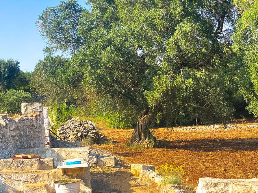 Immagine 20 di Rustico / casale in vendita  in via martina franca 5555 a Grottaglie