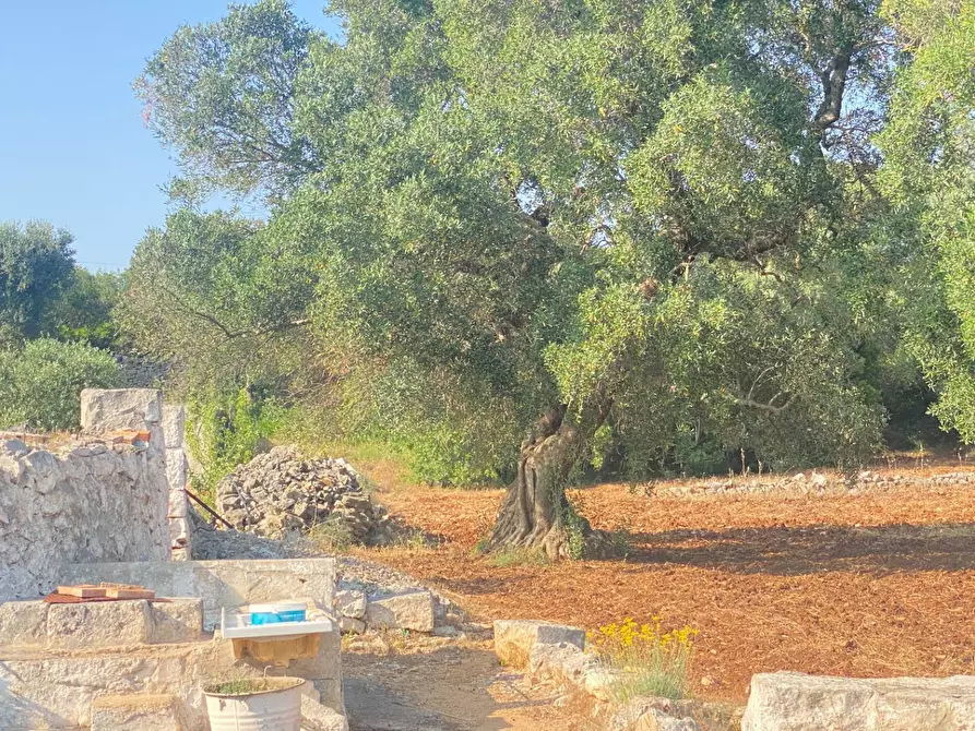 Immagine 21 di Rustico / casale in vendita  in via martina franca 5555 a Grottaglie