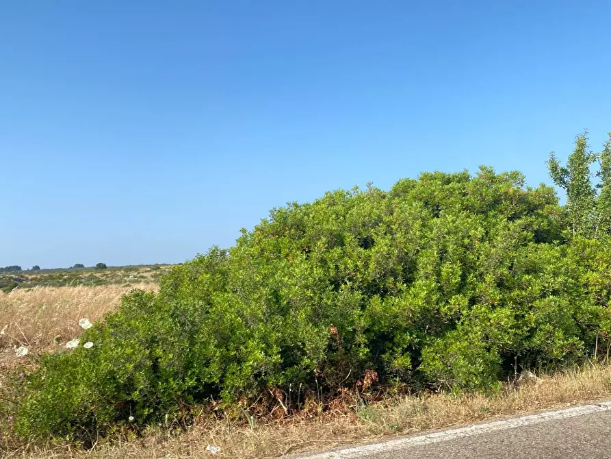 Immagine 23 di Rustico / casale in vendita  in via martina franca 5555 a Grottaglie