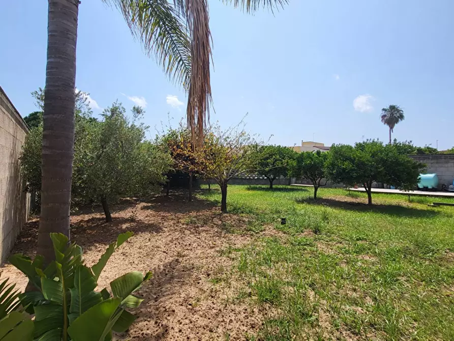 Immagine 3 di Appartamento in vendita  in Via De Giacinti 2 a San Pietro Vernotico