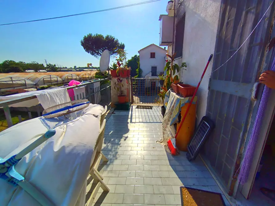 Immagine 19 di Appartamento in vendita  a Camposano