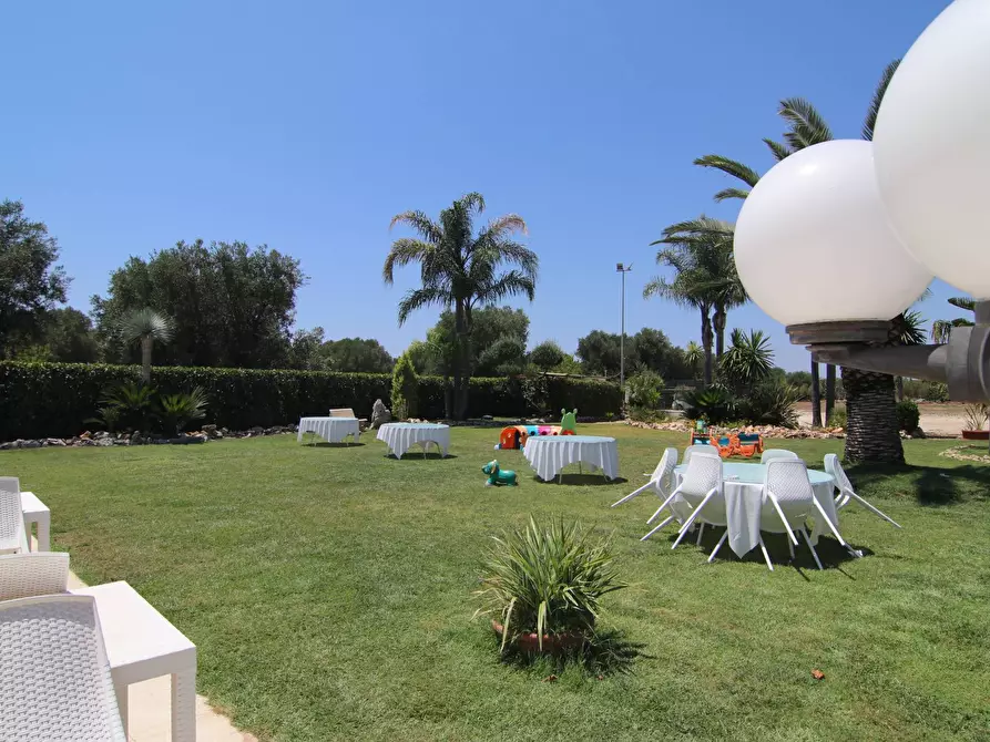 Immagine 3 di Attività commerciale in vendita  in per torrettA 1 a Avetrana