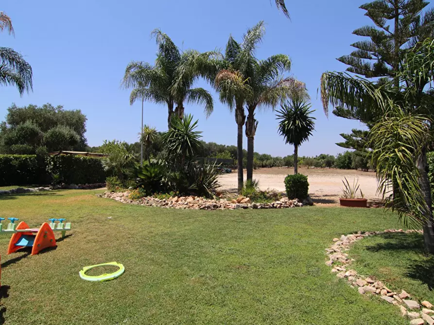 Immagine 5 di Attività commerciale in vendita  in per torrettA 1 a Avetrana