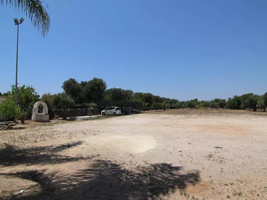 Immagine 6 di Attività commerciale in vendita  in per torrettA 1 a Avetrana