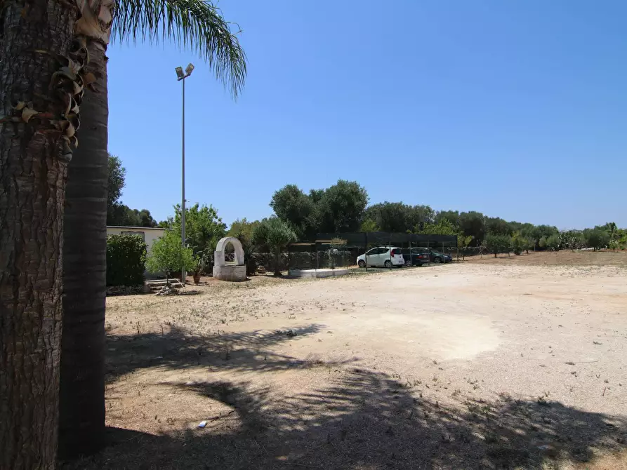 Immagine 7 di Attività commerciale in vendita  in per torrettA 1 a Avetrana