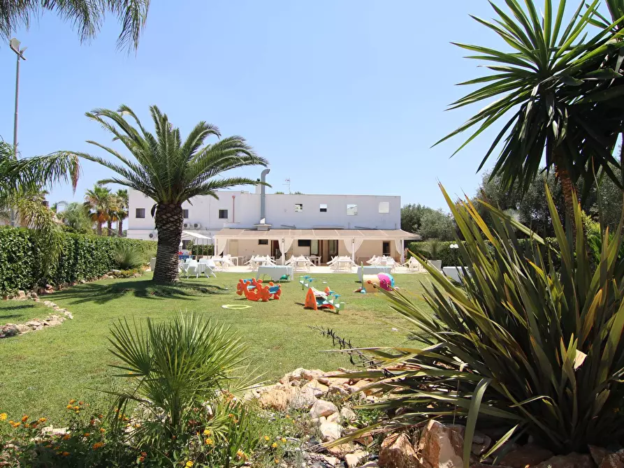 Immagine 8 di Attività commerciale in vendita  in per torrettA 1 a Avetrana