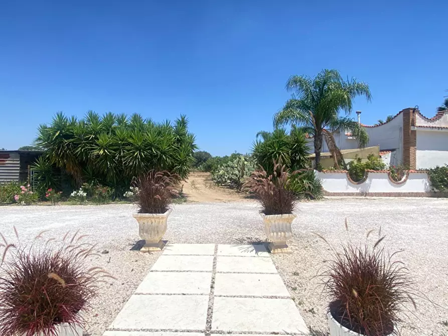 Immagine 34 di Attività commerciale in vendita  in per torrettA 1 a Avetrana