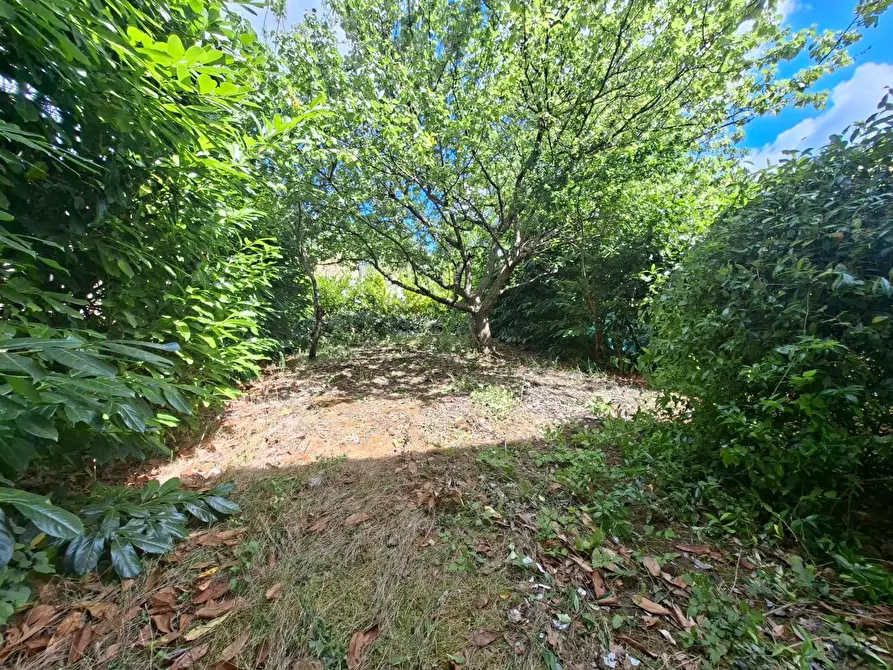 Immagine 11 di Villetta a schiera in vendita  in via dei caduti 10 a Capriglia Irpina