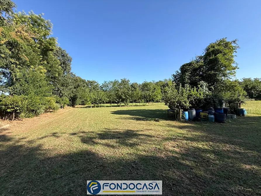 Immagine 2 di Terreno agricolo in vendita  snc a Cimbergo