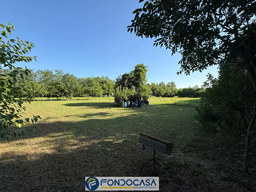 Immagine 3 di Terreno agricolo in vendita  snc a Cimbergo