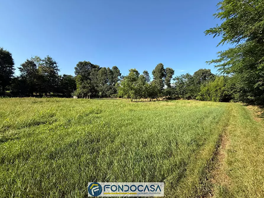 Immagine 4 di Terreno agricolo in vendita  snc a Cimbergo