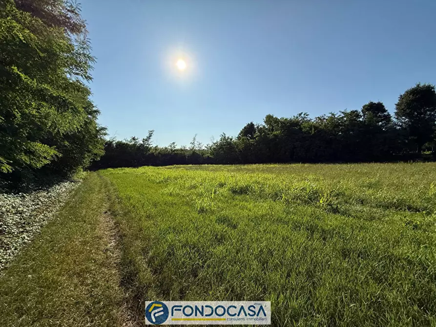 Immagine 5 di Terreno agricolo in vendita  snc a Cimbergo