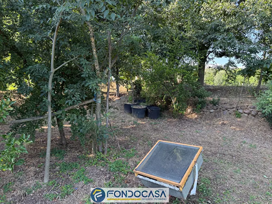 Immagine 7 di Terreno agricolo in vendita  snc a Cimbergo