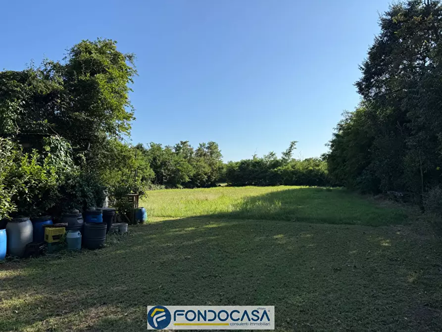 Immagine 6 di Terreno agricolo in vendita  snc a Cimbergo