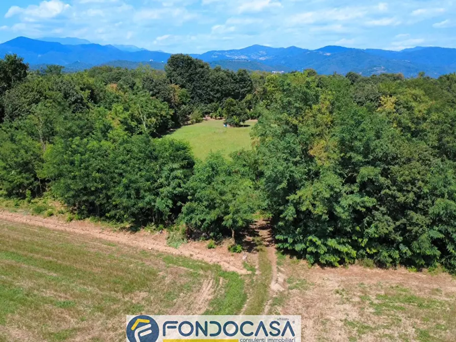 Immagine 8 di Terreno agricolo in vendita  snc a Cimbergo