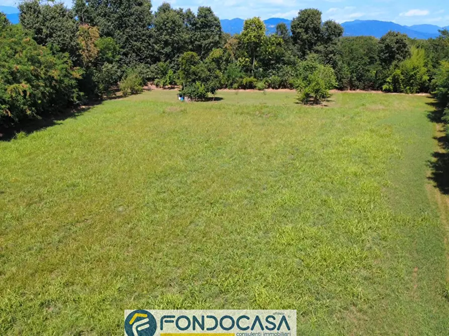 Immagine 11 di Terreno agricolo in vendita  snc a Cimbergo