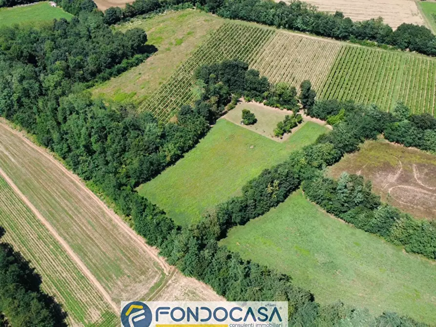 Immagine 13 di Terreno agricolo in vendita  snc a Cimbergo