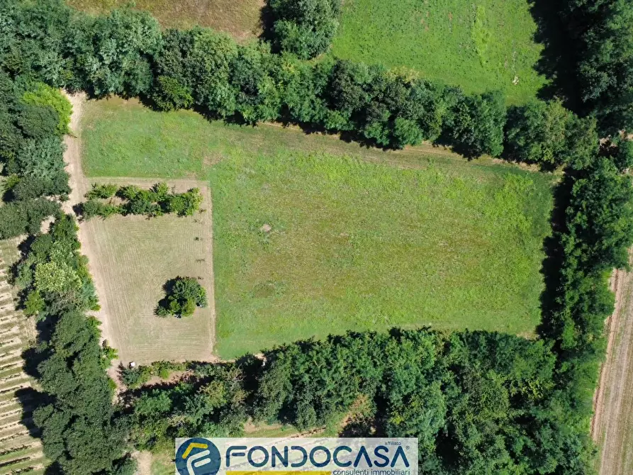 Immagine 14 di Terreno agricolo in vendita  snc a Cimbergo