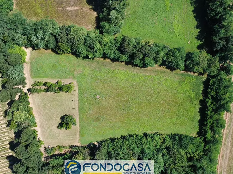 Immagine 15 di Terreno agricolo in vendita  snc a Cimbergo