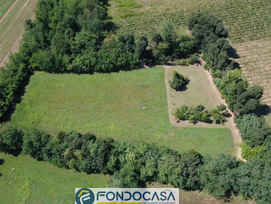 Immagine 17 di Terreno agricolo in vendita  snc a Cimbergo