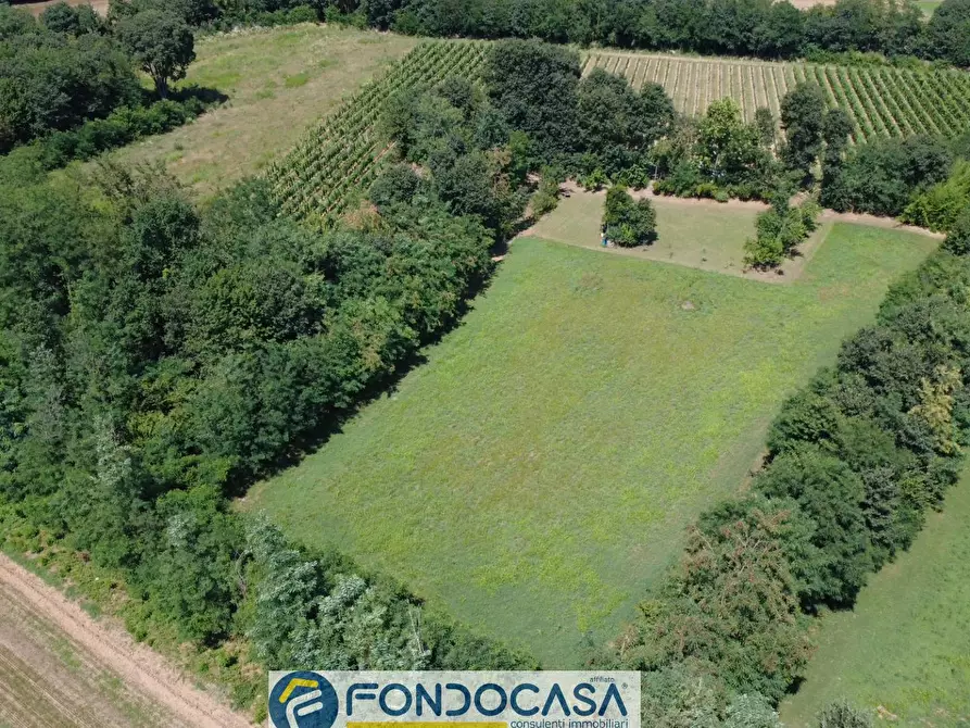 Immagine 18 di Terreno agricolo in vendita  snc a Cimbergo
