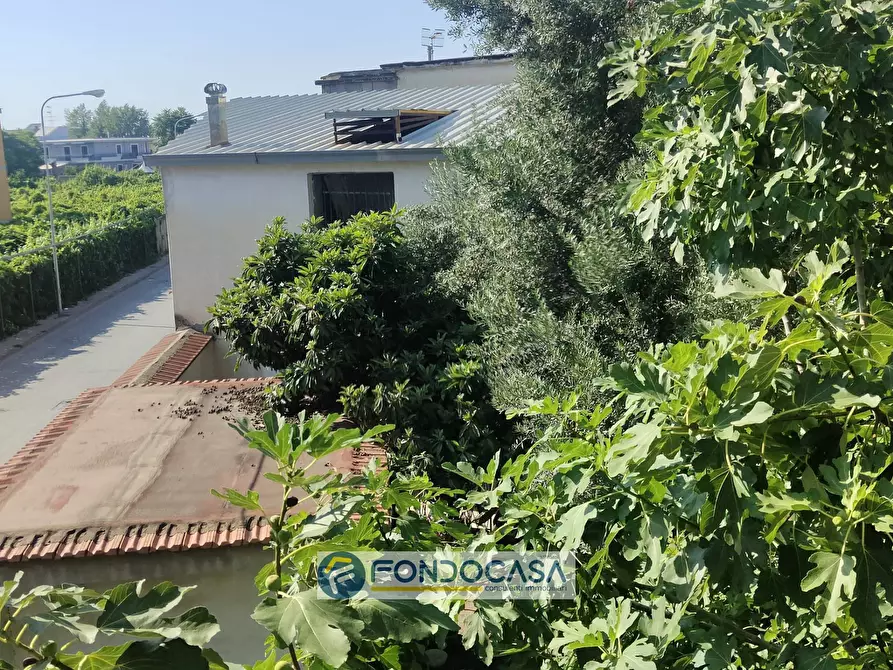 Immagine 12 di Casa indipendente in vendita  in Via Primavera 5 a Sant'antimo