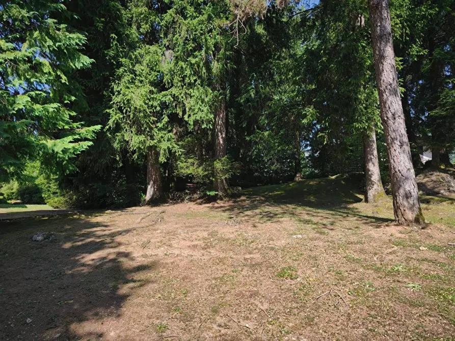 Immagine 22 di Appartamento in affitto  in Via Papa Giovanni XXIII a Ardesio