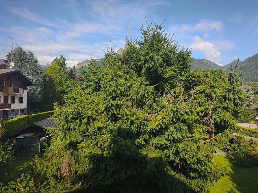 Immagine 18 di Appartamento in vendita  in Via Foppi 28 a Ardesio