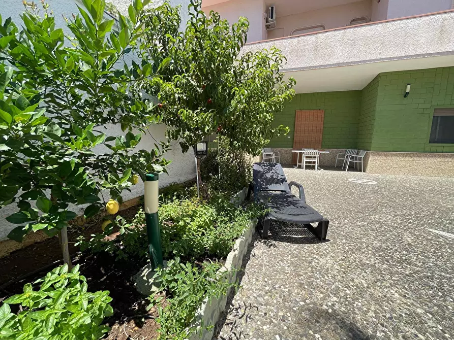 Immagine 5 di Casa semindipendente in vendita  in via dell'anguilla snc a Squinzano