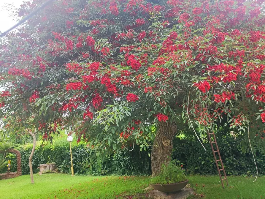 Immagine 2 di Casa indipendente in vendita  in VIA OLMO 45 a Bellizzi