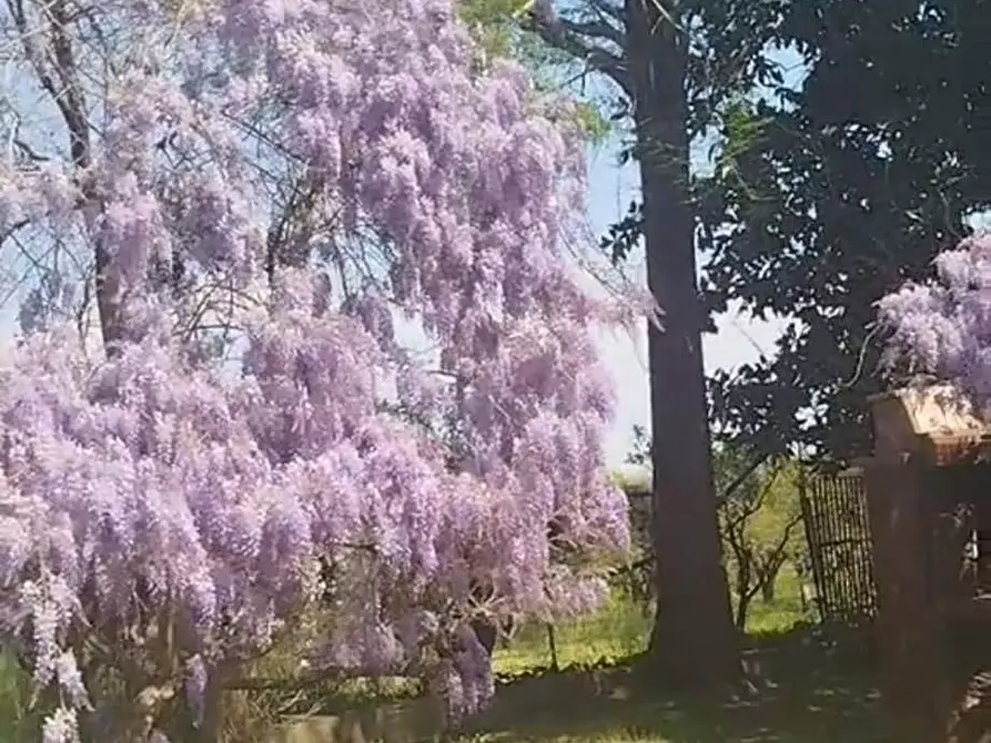 Immagine 3 di Casa indipendente in vendita  in VIA OLMO 45 a Bellizzi