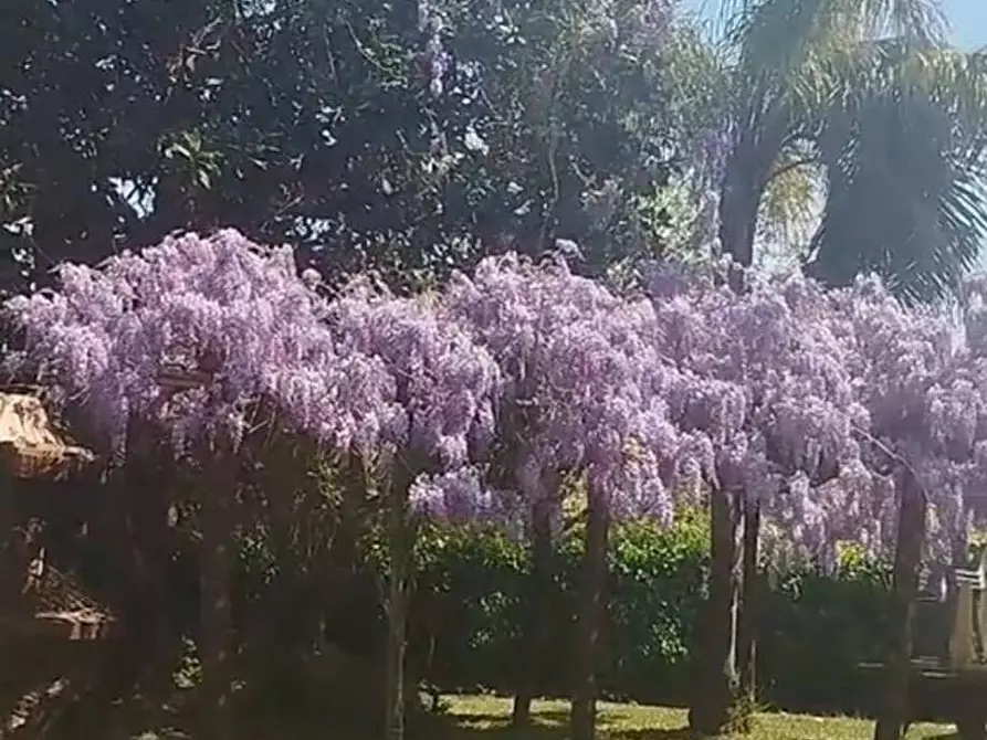 Immagine 5 di Casa indipendente in vendita  in VIA OLMO 45 a Bellizzi
