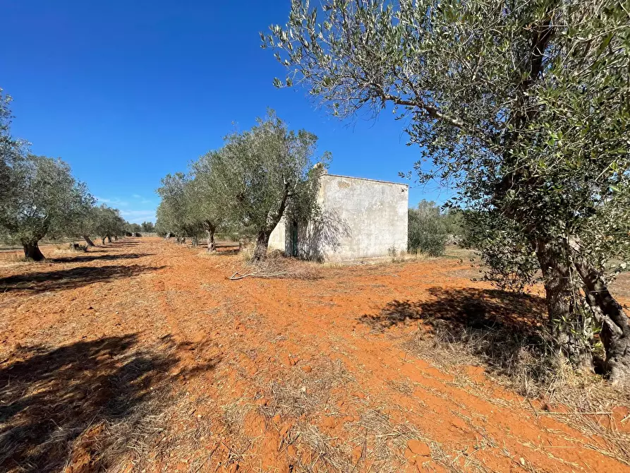 Immagine 9 di Rustico / casale in vendita  in Via Vecchia Lecce Snc a Andrano