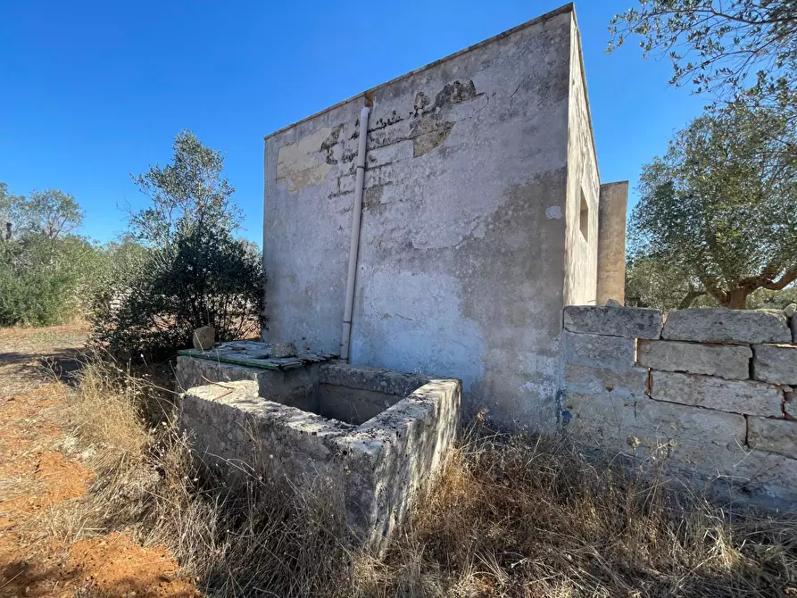 Immagine 13 di Rustico / casale in vendita  in Via Vecchia Lecce Snc a Andrano