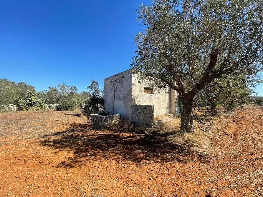 Immagine 14 di Rustico / casale in vendita  in Via Vecchia Lecce Snc a Andrano