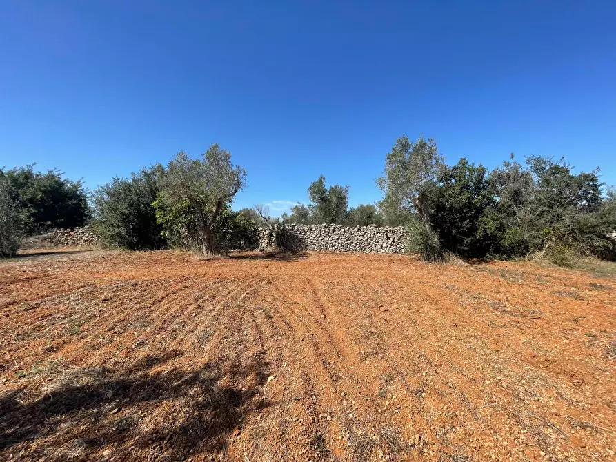Immagine 15 di Rustico / casale in vendita  in Via Vecchia Lecce Snc a Andrano