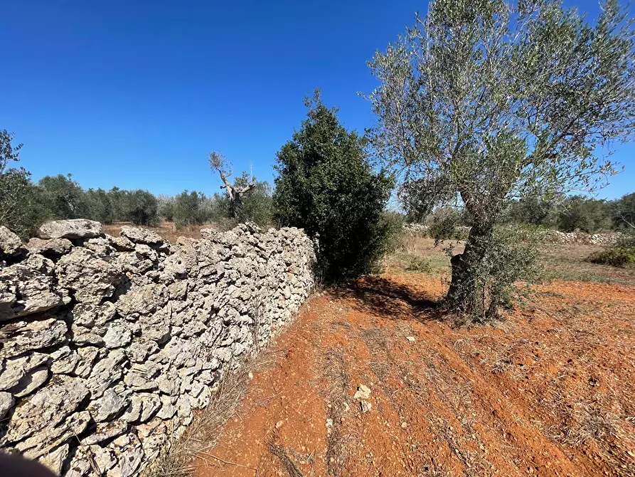 Immagine 18 di Rustico / casale in vendita  in Via Vecchia Lecce Snc a Andrano