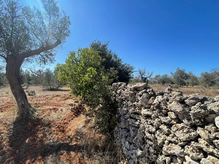 Immagine 19 di Rustico / casale in vendita  in Via Vecchia Lecce Snc a Andrano