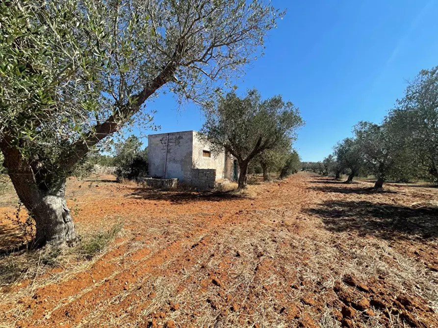Immagine 23 di Rustico / casale in vendita  in Via Vecchia Lecce Snc a Andrano