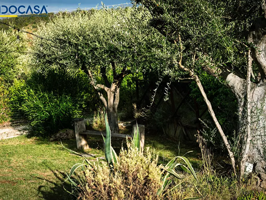 Immagine 57 di Attività commerciale in vendita  in Contrada della fonte 11 a Ancarano