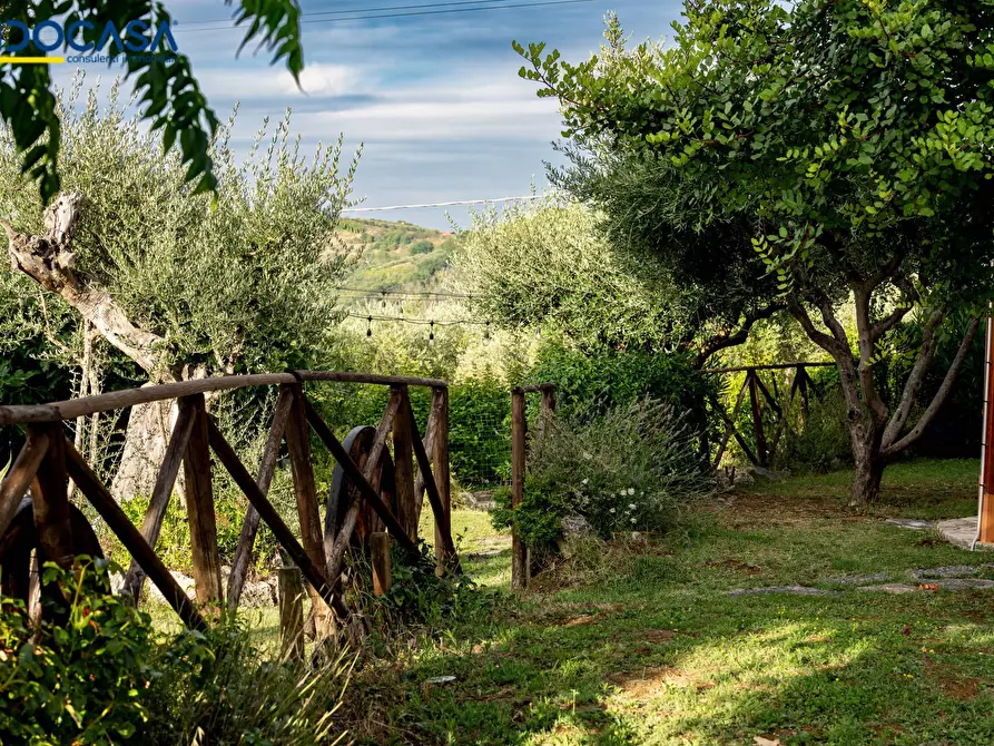 Immagine 24 di Attività commerciale in vendita  in Contrada della fonte 11 a Ancarano