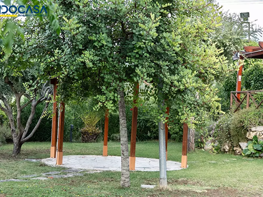 Immagine 33 di Attività commerciale in vendita  in Contrada della fonte 11 a Ancarano