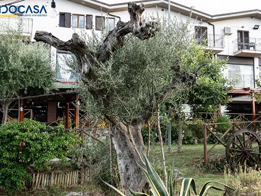 Immagine 54 di Attività commerciale in vendita  in Contrada della fonte 11 a Ancarano