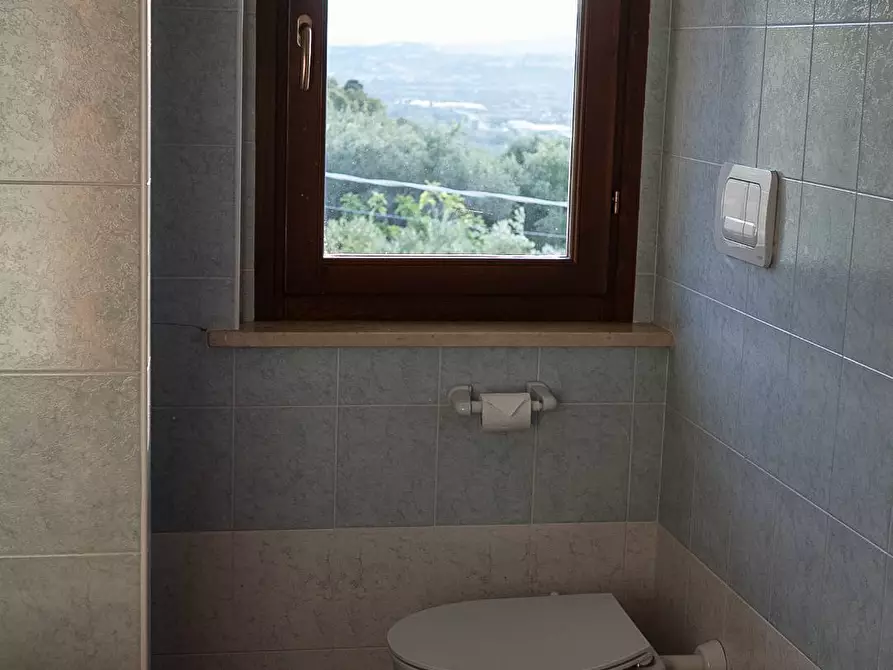 Immagine 46 di Attività commerciale in vendita  in Contrada della fonte 11 a Ancarano