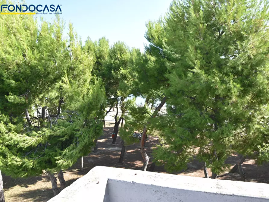 Immagine 43 di Appartamento in vendita  in Via Taormina 49 a Martinsicuro