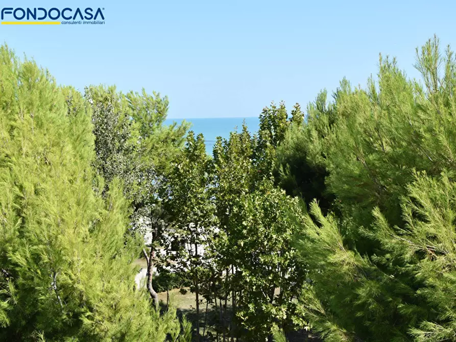 Immagine 68 di Appartamento in vendita  in Via Taormina 49 a Martinsicuro