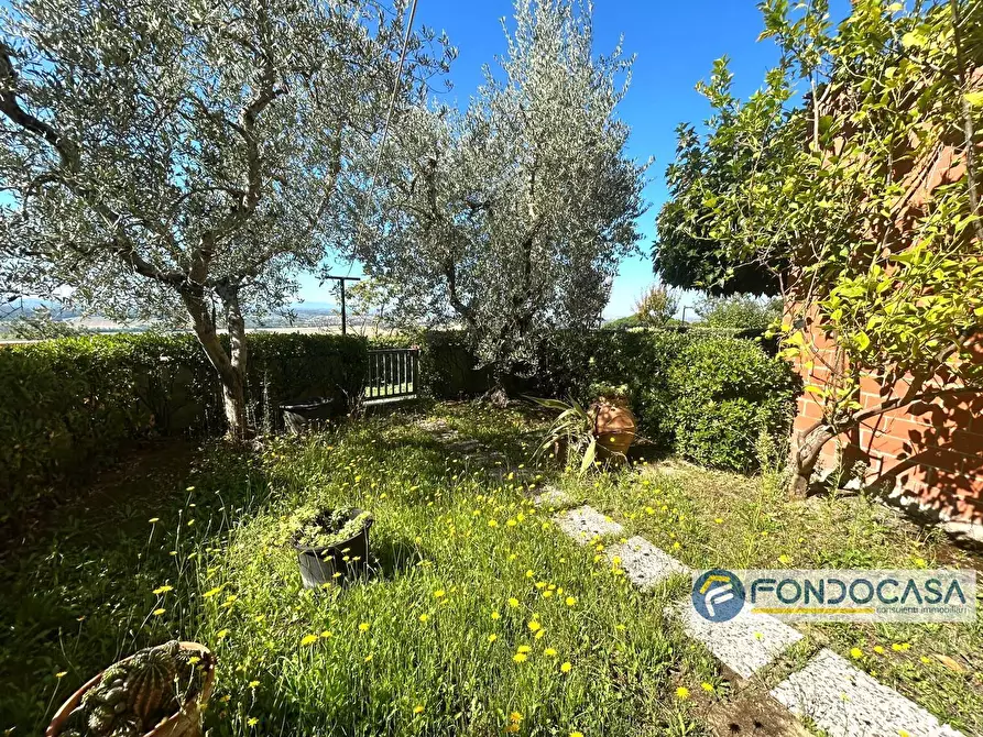 Immagine 26 di Villetta a schiera in vendita  in Via Del Colle a Pontedera