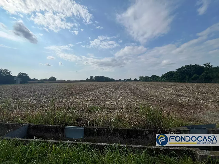 Immagine 1 di Terreno agricolo in vendita  in palazzolo sull'oglio a Palazzolo Sull'oglio