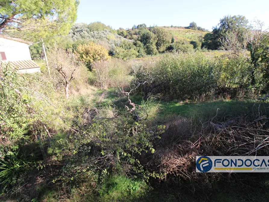 Immagine 27 di Villa in vendita  in Via Muraiola a Casciana Terme Lari
